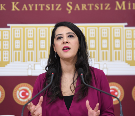 Sevda Karaca Aile Bakanlığı’na sordu: Verileri neden gizliyorsunuz?