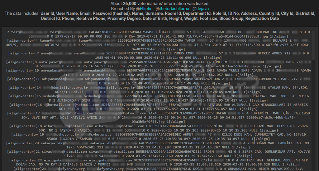 Türk Veteriner Hekimler Birliği’ne siber saldırı: 26 bin hekimin verileri çalındı