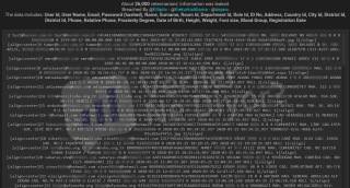 Türk Veteriner Hekimler Birliği’ne siber saldırı: 26 bin hekimin verileri çalındı